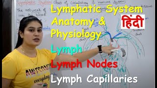 Cardiovascular system in hindi  functions  structure  pulmonary and systematic circulation [upl. by Ycniuqal]