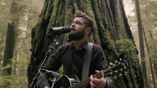 Passenger  Survivors Acoustic Live from Jedediah Smith Redwood State Park OR [upl. by Ardnic]