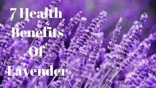 7 Health Benefits Of Lavender [upl. by Theran]