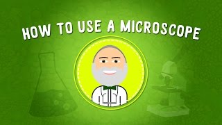 How to Use a Microscope  STEM [upl. by Cave]