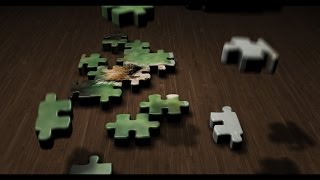 Puzzle Animation [upl. by Adnertal]