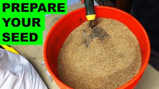 Preparing Grass Seed for Quick Germination [upl. by Airehc676]