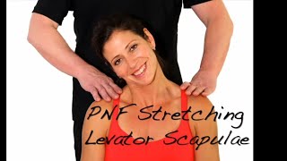 PNF Stretching  Levator Scapulae Muscle  Ask Dr Abelson [upl. by Cho]