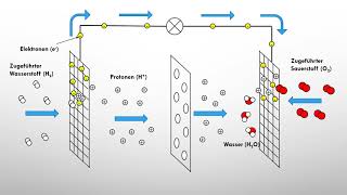 Brennstoffzellen einfach erklärt  Klemens klärt Chemie [upl. by Ellenor]