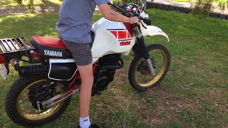 1983 Yamaha XT600 34L Tenere starting [upl. by Ecnaralc]