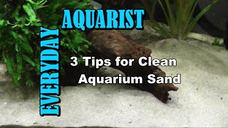 3 Tips for Clean Aquarium Sand [upl. by Araiek]