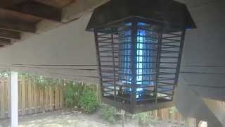 Wasps vs Electric Bug Zapper near Dayton Oregon [upl. by Huntingdon]