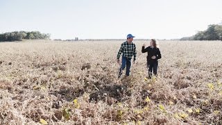 Completing the 100Bushel Soybean Challenge with BASF [upl. by Powell]