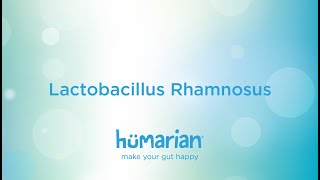 Lactobacillus Rhamnosus [upl. by Aenotna]