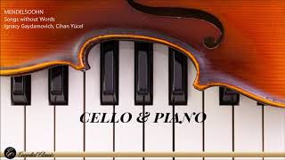 Cello amp Piano Duet  The Best of Classical Music [upl. by Wiburg]