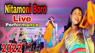 Bwisagu Song 2022  Nitamoni Boro Live Performance [upl. by Aihseyn]