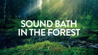 Sound Bath in the Forest ✦ A432Hz ✦ A Serene Forest Bath Accompanied by Gentle Ambient Tones [upl. by Razatlab]