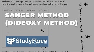 Sanger Method for Determining DNA Sequence [upl. by Chrystel]