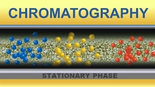 Chromatography Animation IQOGCSIC [upl. by Lihka]