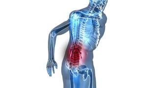 An Introduction to Pain Pathways and Mechanisms [upl. by Westmoreland319]