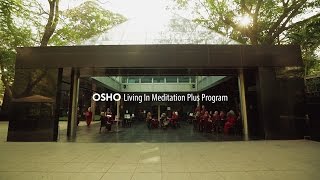 OSHO Living In Meditation Plus Program [upl. by Morette138]