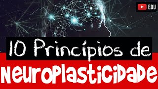 NEUROPLASTICIDADE 10 Princípios que você precisa conhecer [upl. by Lucania]