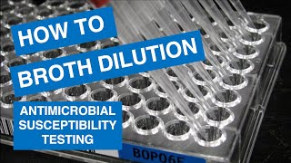 MIC Broth Microdilution Testing [upl. by Birk]