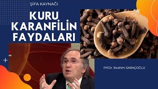 KARANFİLİN FAYDALARI  Karanfil Nelere Faydalı [upl. by Gipps]