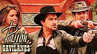 Pasion de Gavilanes  La muerte de Armando [upl. by Waylon]