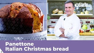 PANETTONE Italian Christmas bread traditional recipe [upl. by Weissberg]