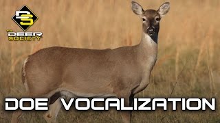 Doe Vocalizations [upl. by Isabeau]