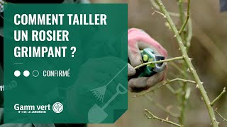 TUTO Comment tailler un rosier grimpant   Jardinerie Gamm vert [upl. by Nagad]