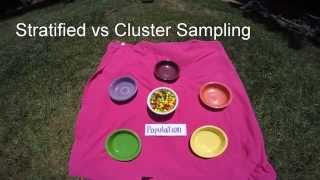 Stratified v Cluster Sampling [upl. by Depoliti677]