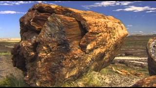 Petrified Forest Vacation Travel Video Guide [upl. by Anihsit650]