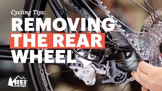 Cycling Tips Removing the Rear Wheel  REI [upl. by Edholm]