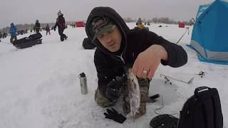 Pêche Sur Glace Truite ArcEnCiel Spécial Magog Rainbow Trout Ice Fishing [upl. by Derward]