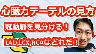 【看護師、研修医】冠動脈造影検査 心臓カテーテル検査の見方① LAD、LCX、RCAを10秒で見分ける方法！【看護学生、医学生、コメディカル】 [upl. by Hgielanna155]