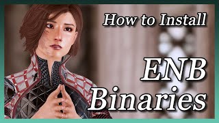 Skyrim SE  How to Install ENB Binaries [upl. by Joacimah]