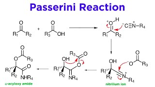 Passerini Reaction [upl. by Nuawd]