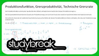 Produktionsfunktion Grenzproduktivität Technische Grenzrate  Volkswirtschaftslehre [upl. by Asyral476]