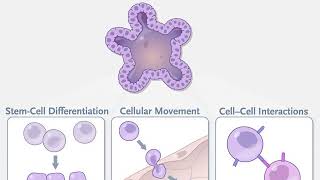 Organoid Technologies in Research [upl. by Luamaj732]