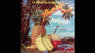 LO MEJOR DE LA MUSICA TROPICAL DEL AÑO 1988 TE ACUERDAS DE ESTAS [upl. by Iggy221]