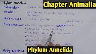 Phylum Annelida Characters And Classification Fully Explain In Hindi Urdu [upl. by Dewar]