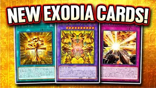 Exodia Has 10 New Support Cards [upl. by Llesirg]