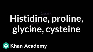 Special cases Histidine proline glycine cysteine  MCAT  Khan Academy [upl. by Zetnauq]