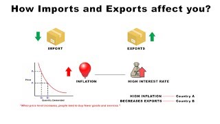 How Imports and Exports Affect You  Economics [upl. by Jonas]