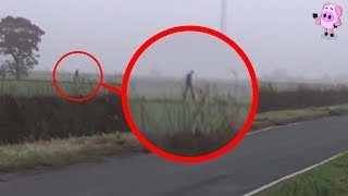 8 Mythological Creatures Caught on Camera [upl. by Hsiri]