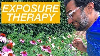 How to use exposure therapy to overcome phobias [upl. by Onfroi]