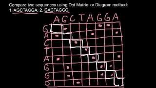 Bioinformatics Dot Matrix or Diagram method explaned 1 [upl. by Ahsert]