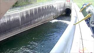 FISHING FOR BROWN TROUT AND WALLEYE AT THE BROOKVILLE LAKE TAILWATER SPILLWAY [upl. by Tzong859]