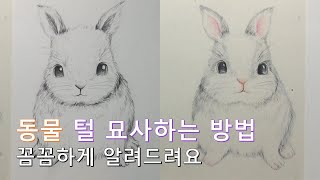 토끼 같이 그려볼까요｜털 묘사 쉽게하는 방법｜스케치 하는 방법｜How to draw a rabbit [upl. by Anwahsal]