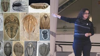 Trilobite Takedown – AMNH SciCafe [upl. by Laure]