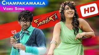 Kandireega Full Video Songs  Champaka Maala Video Song  Ram Pothineni  Hansika  Aksha [upl. by Yhtac]