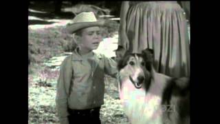 Lassie  Episode 294  quotThe Desperate Searchquot  Season 9 Ep 3  10141962 [upl. by Estrella]