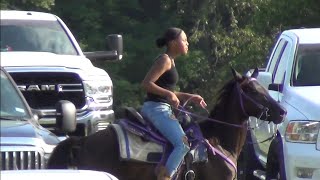 Saddlebreds and Tennessee Walkers at Douglassville Texas Trail Ride [upl. by Kirshbaum901]